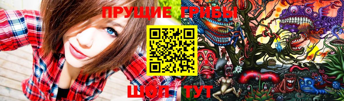 Псилоцибиновые грибы Psilocybine cubensis Донецк